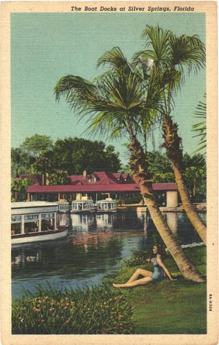 Silver springs boat - silver,