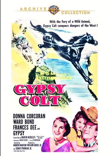Gypsy colt donna corcoran - gypsy, (donna