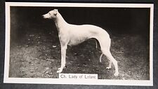 GREYHOUND  Vintage 1938 Show Champion   Photo Card  EE26M