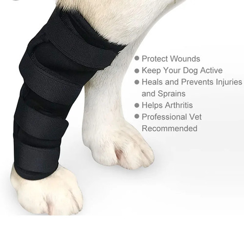 Dog leg knee pads - leg,