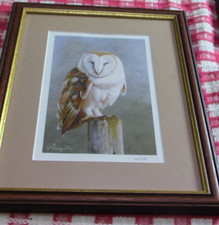 Unknown Artist Barn Owl 14/350