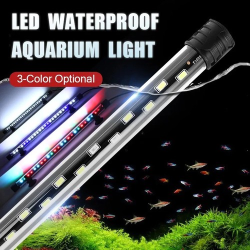 Aquarium fish tank - aquarium,