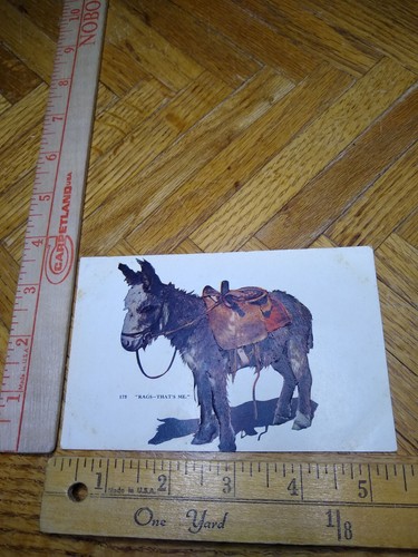 Postcard rags that s - postcard, "rags-that's