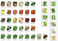 Un-used 1940s Vintage American Vegetable Lone Star Seed Co. packets FREE UK POST