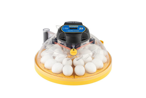 Maxi egg incubator - incubator,