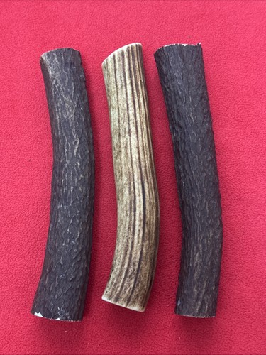 Pieces deer antler sling - 3,