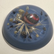 Vintage Lucite Resin Seashell