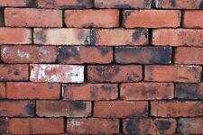 Reclaimed 2 3/4″ Cardiff Red Wirecut Bricks