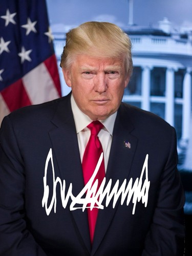 Donald trump signed autograph - donald,