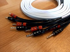 Audioquest Rocket 22 speaker