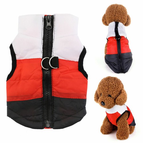 Pet vest jacket - pet,