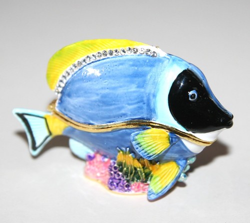 Blue tang fish trinket - box, /