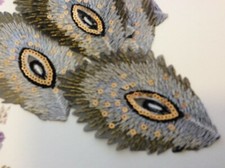 Peacock Lace Wedding Dance