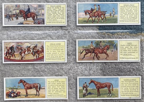 Original set typhoo - of, tea