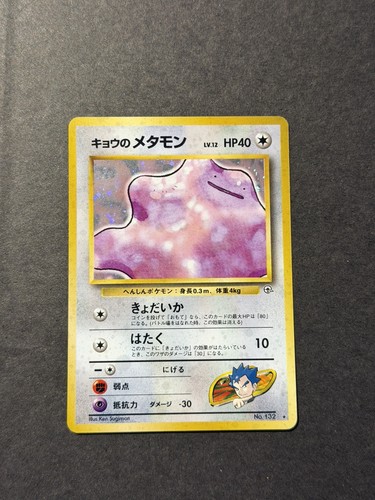 Koga ditto 132 holo - koga's, no.