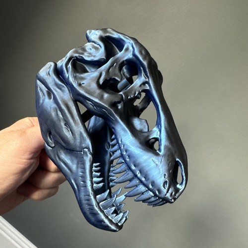 Rex printed dinosaur - t-rex,