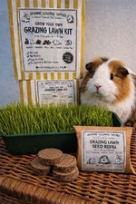 Grow Your Own Grazing Lawn Kit