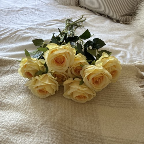 Artificial pale yellow - artificial, x