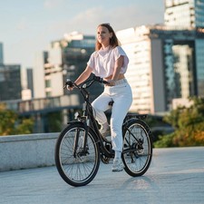 Isinwheel U2 36V 13AH E-Bike