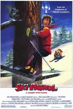 SKI PATROL Movie POSTER 27x40 Roger Rose Yvette Nipar T.K. Carter Leslie Jordan
