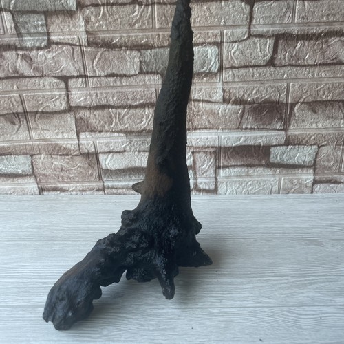 Bogwood driftwood fish tank - bogwood,