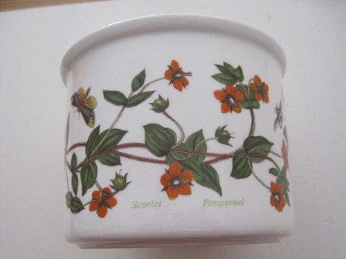Portmeirion pot plant - portmeirion,