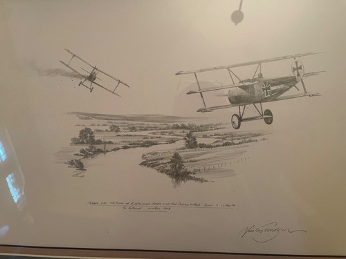 Nicholas trudgian original - nicholas,