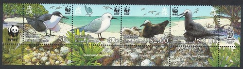 Tern noddy seabirds strip - strip, of