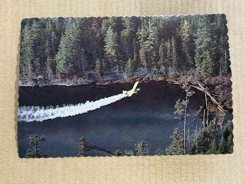 Postcard new york adirondacks - postcard,