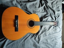 Italian Acoustic Guitar 