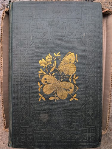 Antiqe 1857 history - antiqe,