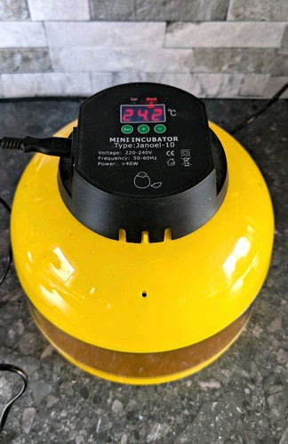 Egg incubator janoel 10 - egg,