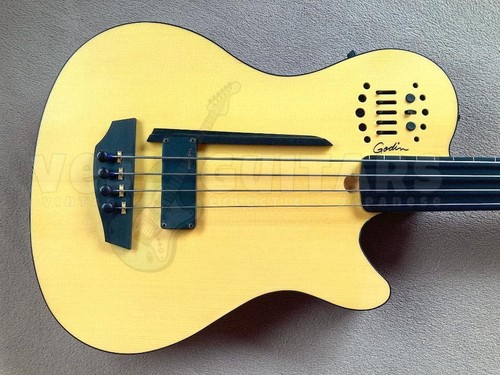 Godin ultra fretless - a4,