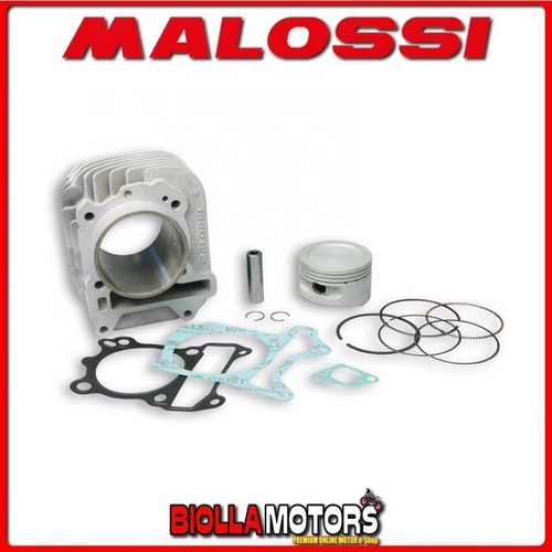 3111393 cylinder kit malossi - 3111393,