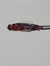 Art Deco Bakelite Lucite Rare Miniature Cicada Insect Brooch Pin (P6)