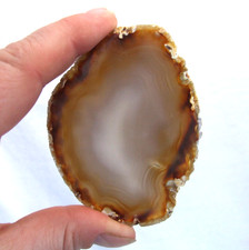 Banded Natural Brown Cream