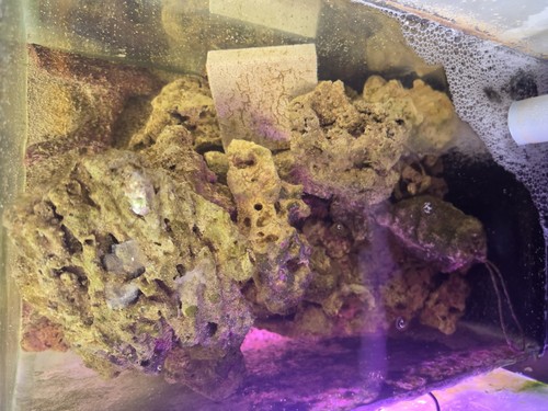 Live rock approx 30kg - live,