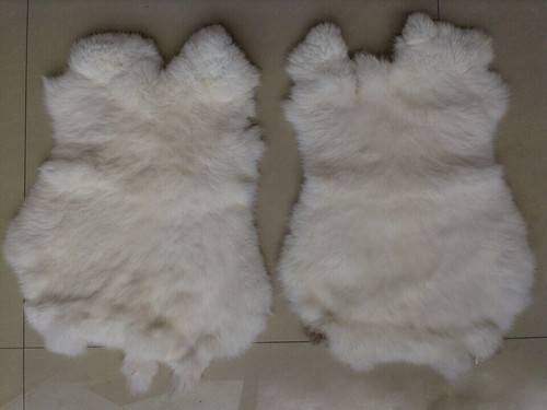 2pcs white natural - white, real