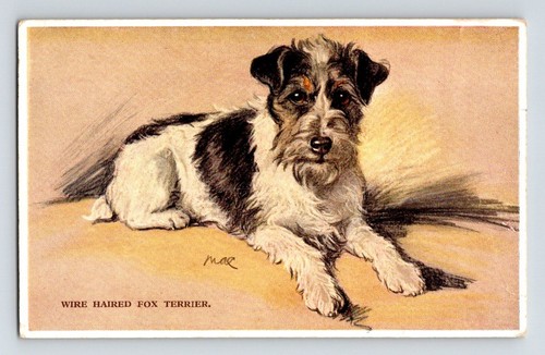 Animals dog wire haired fox - wire,