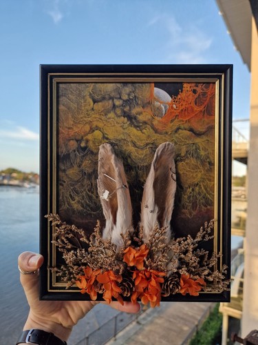 Real framed taxidermy rabbit - taxidermy,