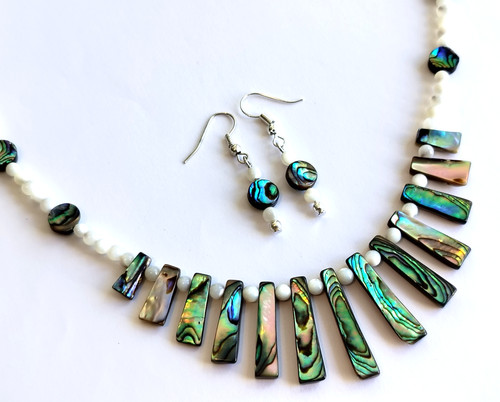 Abalone paua shell mother - abalone,