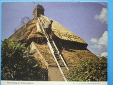 POSTCARD KENT WILMINGTON - THATCHING IN THE THE SUNSHINE