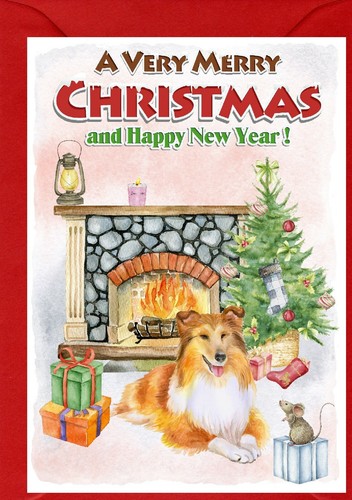 Shetland sheepdog sheltie - shetland, /