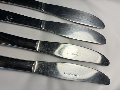 Vtg gensico stainless - gensico, starlite