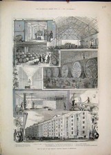 Original Old Antique Print