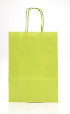 Coloured Paper Bag Twist Handle Party Gift Carrier / Bags With Handles - Small