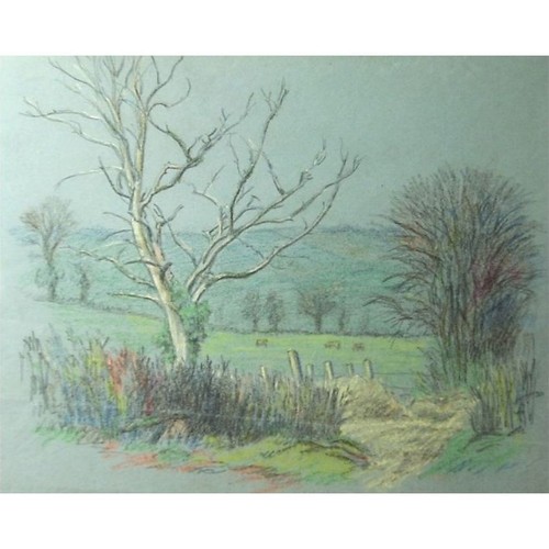Winter willow landscape - willow,