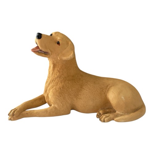 Dogs galore sandy - dogs,