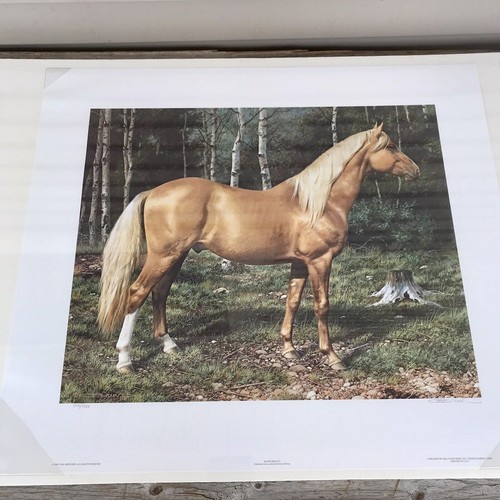 Carl brenders blonde - brenders, beauty