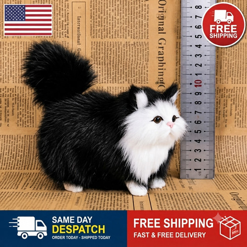 Kitten cat inch stuffed - 5,